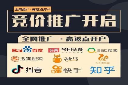 成功案例解析：SEO与SEM协同营销策略